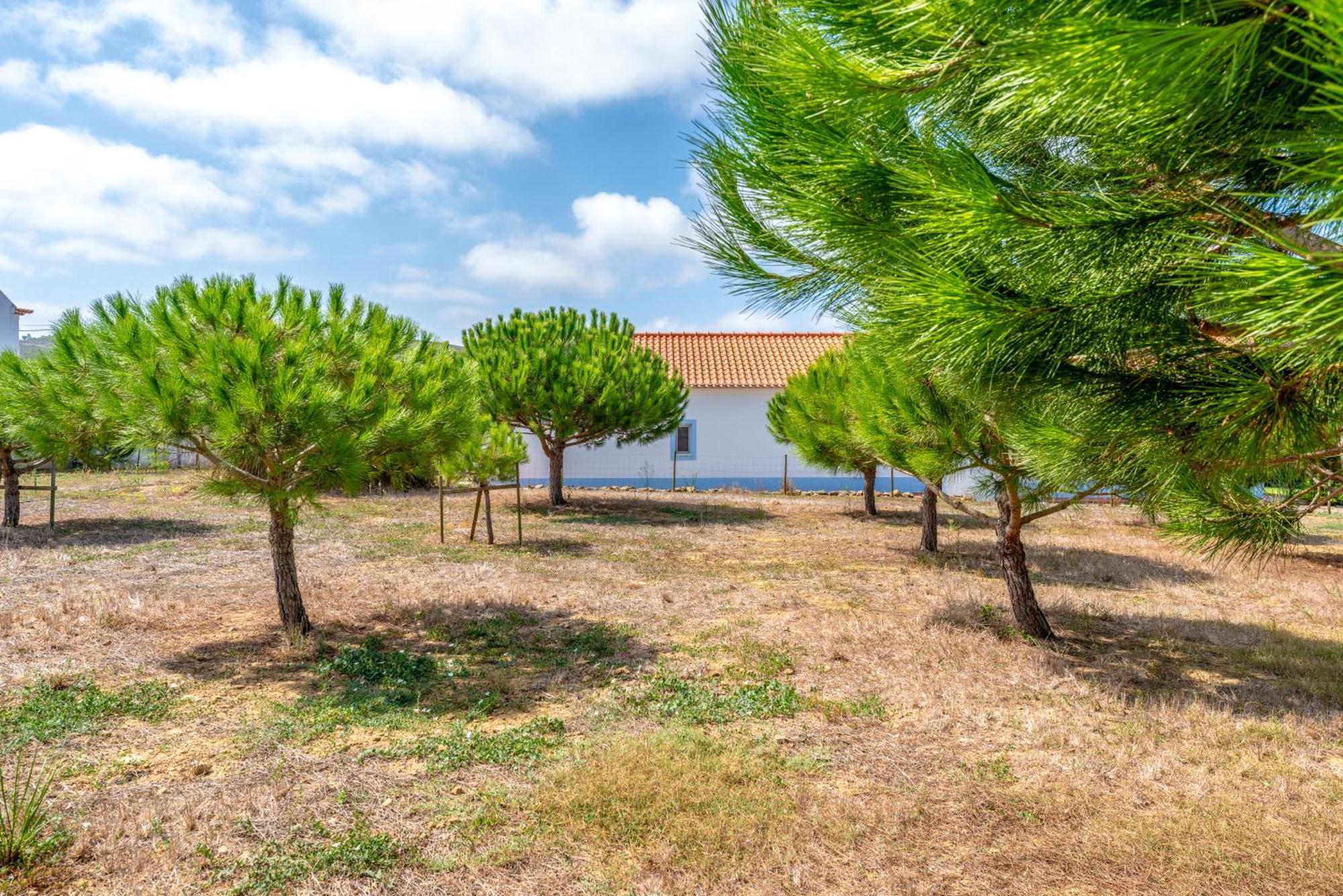 Quinta Da Bela Vista - Ericeira Villa Galiza Eksteriør bilde